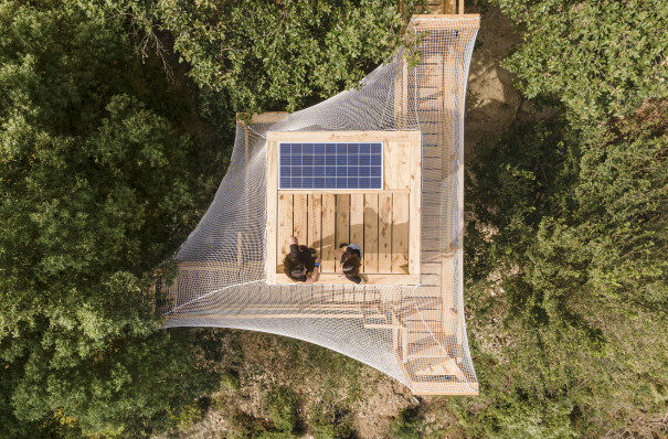 Students design and build a mass timber observatory to study forest canopies